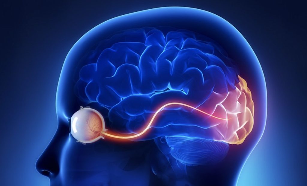 Report on Health Impacts of Cumulative Blue Light Exposure from Digital