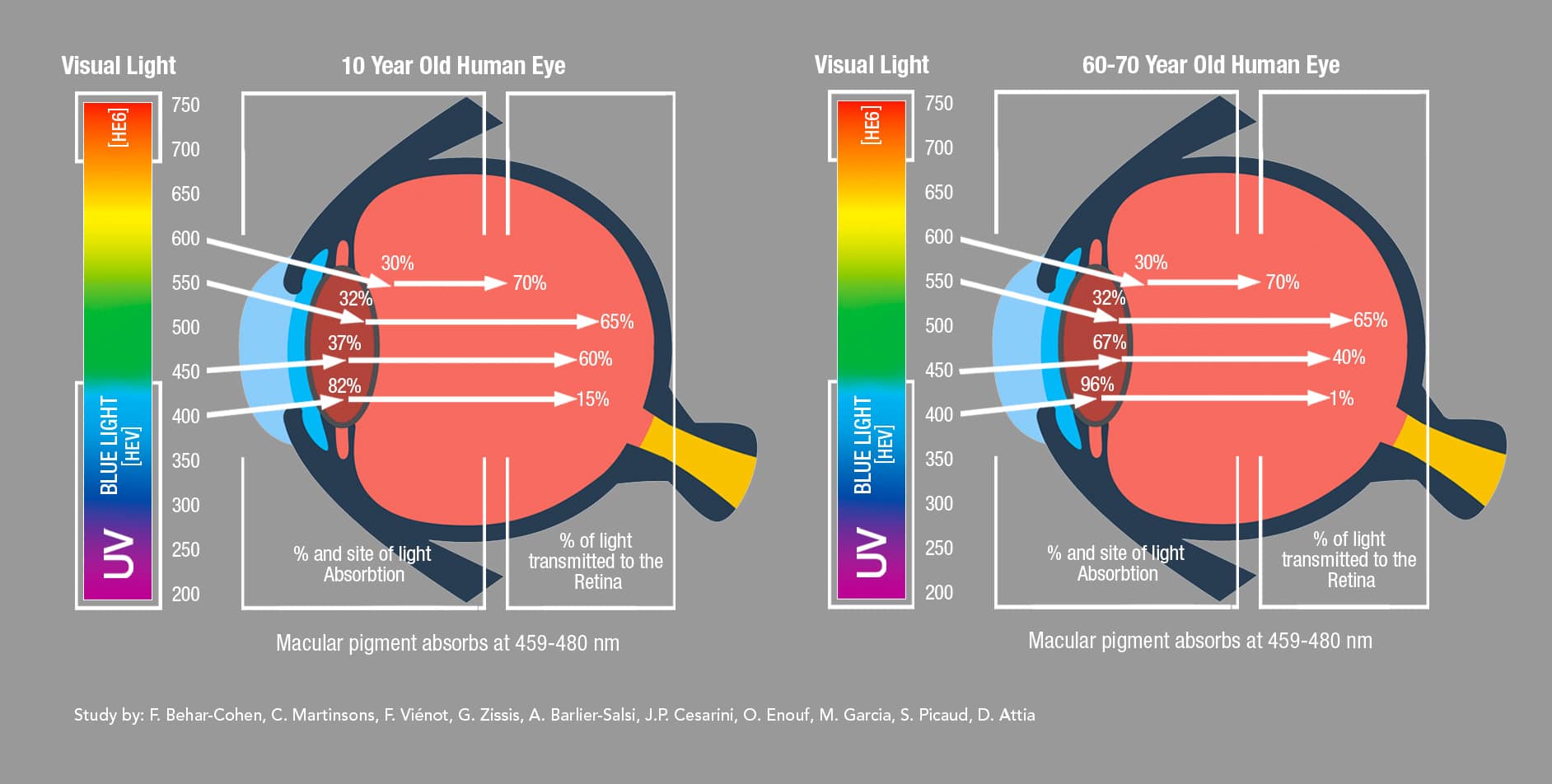 Blue Light Eyesafe®